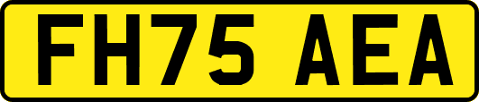 FH75AEA