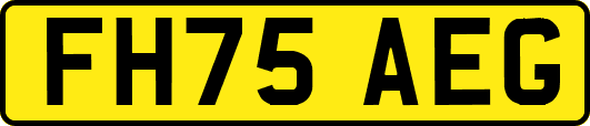 FH75AEG