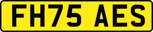 FH75AES