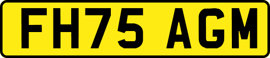 FH75AGM