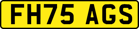 FH75AGS