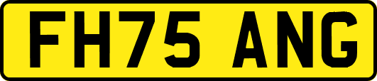FH75ANG
