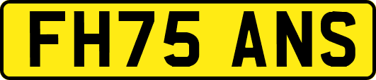 FH75ANS