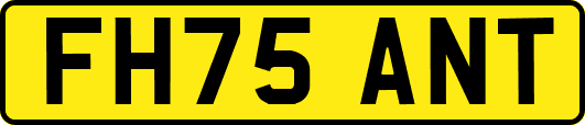 FH75ANT