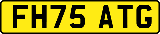 FH75ATG