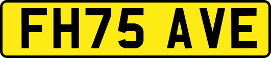 FH75AVE