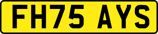 FH75AYS