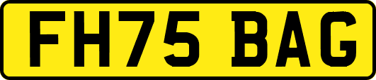 FH75BAG