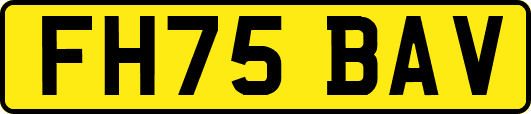 FH75BAV