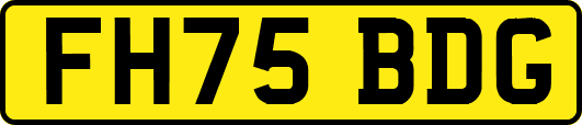 FH75BDG