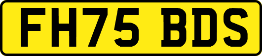 FH75BDS