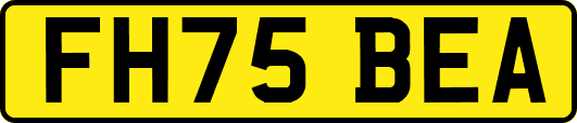 FH75BEA
