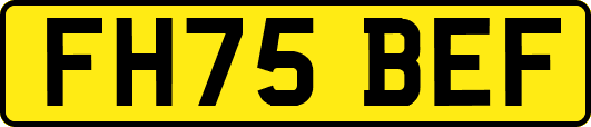 FH75BEF