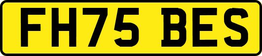 FH75BES