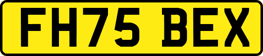 FH75BEX
