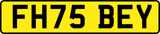 FH75BEY
