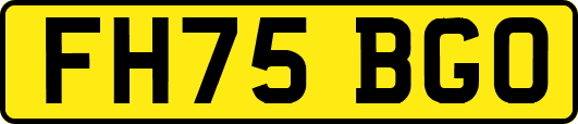 FH75BGO