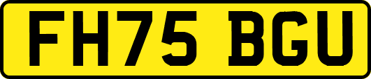 FH75BGU