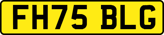 FH75BLG