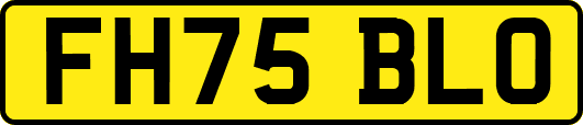 FH75BLO