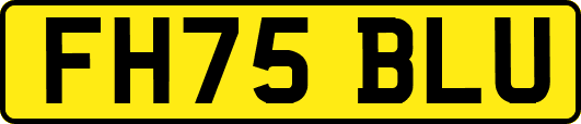 FH75BLU