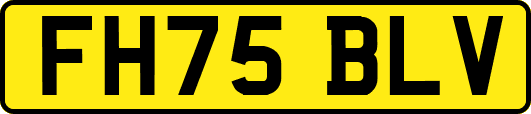 FH75BLV