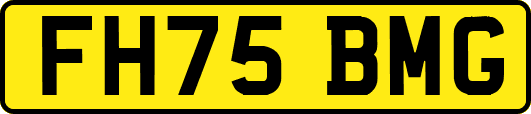 FH75BMG