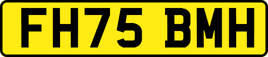 FH75BMH