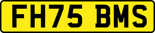 FH75BMS