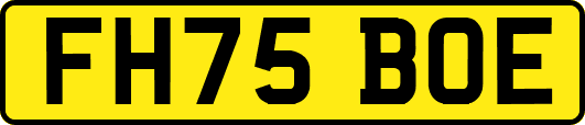FH75BOE