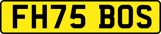 FH75BOS