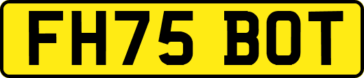 FH75BOT