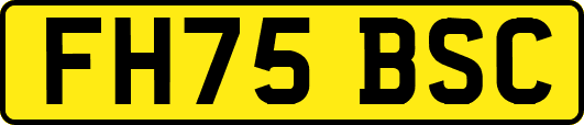 FH75BSC