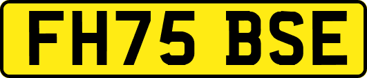FH75BSE