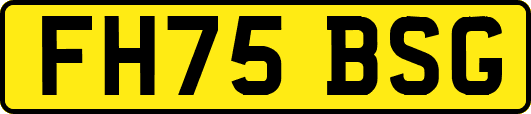 FH75BSG