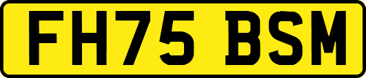 FH75BSM