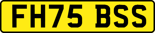FH75BSS