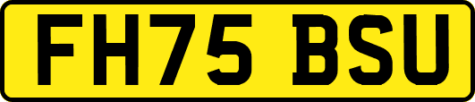 FH75BSU