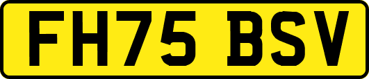 FH75BSV