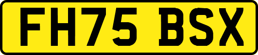 FH75BSX