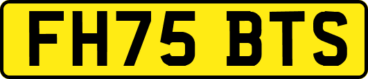 FH75BTS
