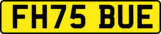 FH75BUE