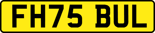 FH75BUL