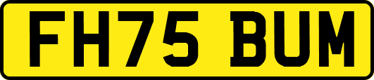FH75BUM