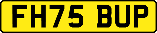 FH75BUP