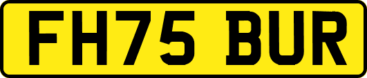 FH75BUR