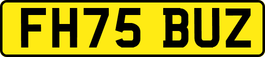 FH75BUZ