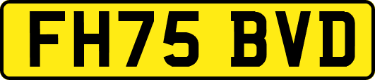 FH75BVD