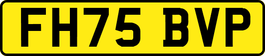 FH75BVP
