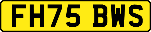 FH75BWS